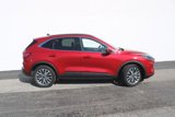 Used 2020 Ford Escape Titanium image 3