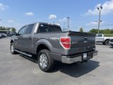 Used 2013 Ford F150 XLT w/ Luxury Equipment Group image 6