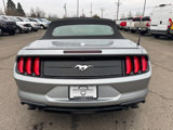 Used 2021 Ford Mustang Premium image 6