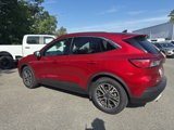 Used 2020 Ford Escape SEL image 3