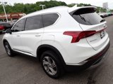 Used 2022 Hyundai Santa Fe SEL w/ Cargo Package image 3
