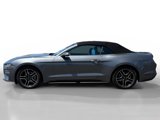 Used 2022 Ford Mustang Premium image 2