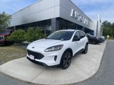 Certified 2022 Ford Escape SE w/ SE Sport Appearance Package image 4