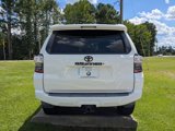 Used 2019 Toyota 4Runner SR5 Premium image 4