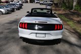 Used 2020 Ford Mustang Premium image 4