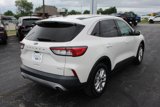 Used 2020 Ford Escape SE image 5