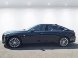 Certified 2025 Cadillac CT5 Premium Luxury image 2