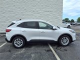 Used 2020 Ford Escape SE image 2