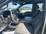 Used 2016 Ford F150 XLT w/ Equipment Group 301A Mid image 5