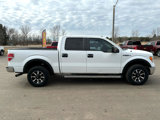 Used 2014 Ford F150 XLT image 6