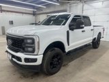 Certified 2024 Ford F250 XL w/ STX Appearance Package image 5