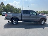 Used 2013 Ford F150 XLT w/ Luxury Equipment Group image 5
