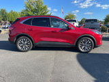 Used 2020 Ford Escape Titanium image 4