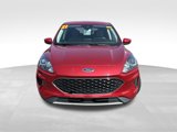 Used 2021 Ford Escape SE w/ Convenience Package image 3