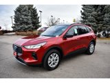 New 2025 Ford Escape Active w/ Cold Weather Package image 4
