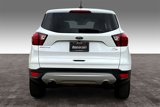 Used 2019 Ford Escape SE image 5
