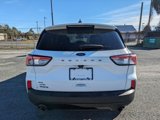 Used 2022 Ford Escape SE w/ SE Sport Appearance Package image 6