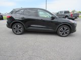 Used 2022 Ford Escape SE w/ SE Sport Appearance Package image 4