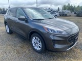 Used 2020 Ford Escape SE image 4