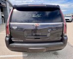 Used 2016 Cadillac Escalade Platinum image 5