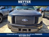 Used 2010 Ford F150 2WD SuperCrew image 2
