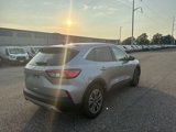 Used 2022 Ford Escape SEL image 6