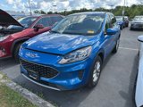 Used 2021 Ford Escape SE w/ Cold Weather Package image 4