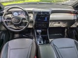 Used 2024 Hyundai Santa Cruz Limited image 4
