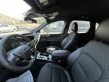New 2025 Ford Escape ST-Line w/ Tech Pack #1 image 4