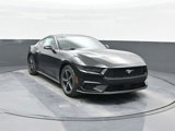 New 2025 Ford Mustang Coupe image 2