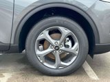 New 2025 Ford Escape ST-Line w/ Cold Weather Package image 6