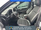 New 2025 Ford Escape ST-Line w/ Tech Pack #1 image 5