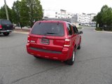 Used 2011 Ford Escape XLT w/ 203A Rapid Spec Order Code image 6