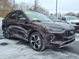 Used 2023 Ford Escape ST-Line Elite w/ Premium Technology Package image 3