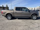 Used 2016 Ford F150 XLT w/ Equipment Group 302A Luxury image 5