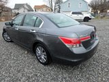 Used 2011 Honda Accord EX-L image 5