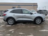 Certified 2022 Ford Escape SE image 4