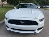 Used 2017 Ford Mustang Premium image 2