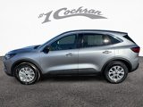 Used 2024 Ford Escape Active image 4
