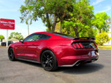 Used 2017 Ford Mustang GT Premium w/ Equipment Group 401A image 6