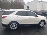 Used 2019 Chevrolet Equinox Premier image 2