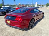 Used 2019 Ford Mustang Coupe w/ Equipment Group 101A image 6