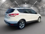Used 2016 Ford Escape SE w/ SE Leather Comfort Package image 5
