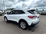 Used 2020 Ford Escape SE image 3
