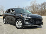 Used 2022 Ford Escape SE w/ Convenience Package image 2