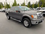 Used 2013 Ford F150 XLT w/ Luxury Equipment Group image 3