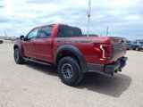 Used 2019 Ford F150 Raptor w/ Equipment Group 802A Luxury image 6