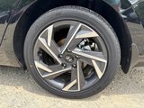 New 2025 Hyundai Elantra SEL image 5