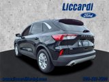 Used 2020 Ford Escape SE image 4