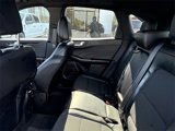 Used 2023 Ford Escape ST-Line Elite image 5